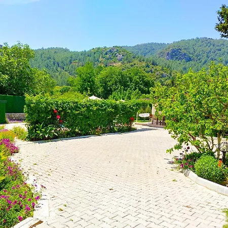 Limon Kayakoy - Private Swimming Pool 4* Belen (Fethiye)